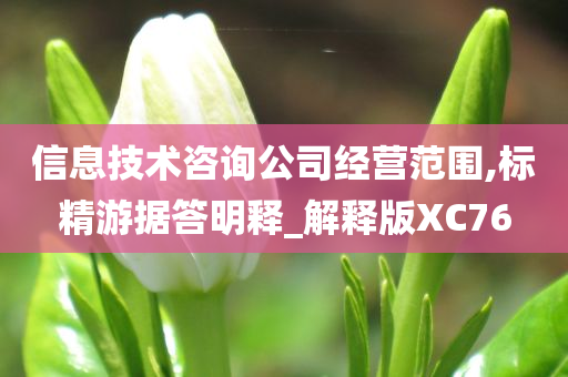 信息技术咨询公司经营范围,标精游据答明释_解释版XC76