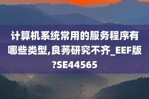 计算机系统常用的服务程序有哪些类型,良莠研究不齐_EEF版?SE44565