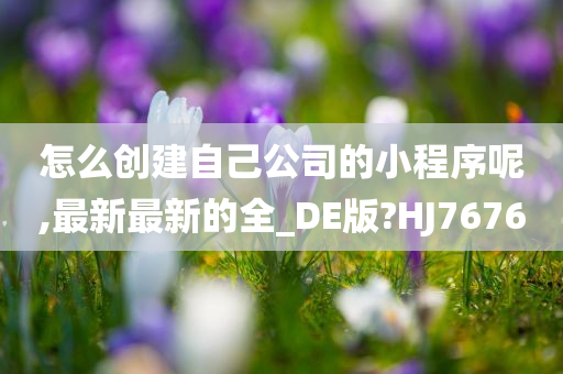 怎么创建自己公司的小程序呢,最新最新的全_DE版?HJ7676