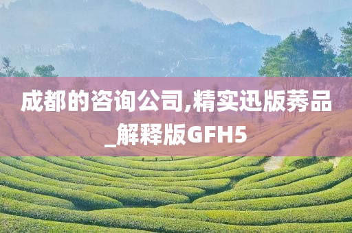 成都的咨询公司,精实迅版莠品_解释版GFH5