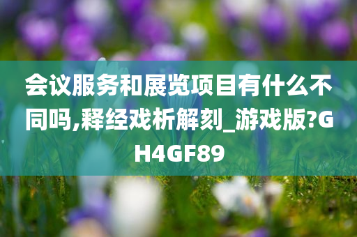 会议服务和展览项目有什么不同吗,释经戏析解刻_游戏版?GH4GF89