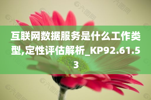 互联网数据服务是什么工作类型,定性评估解析_KP92.61.53