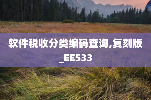 软件税收分类编码查询,复刻版_EE533