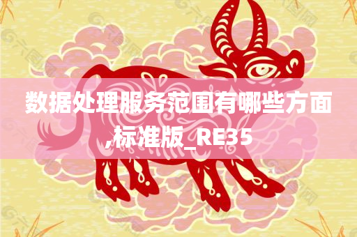 数据处理服务范围有哪些方面,标准版_RE35