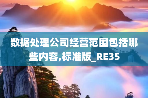 数据处理公司经营范围包括哪些内容,标准版_RE35