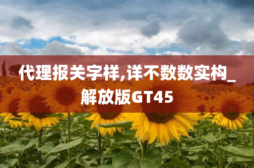 代理报关字样,详不数数实构_解放版GT45