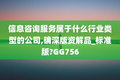 信息咨询服务属于什么行业类型的公司,确深版资解品_标准版?GG756