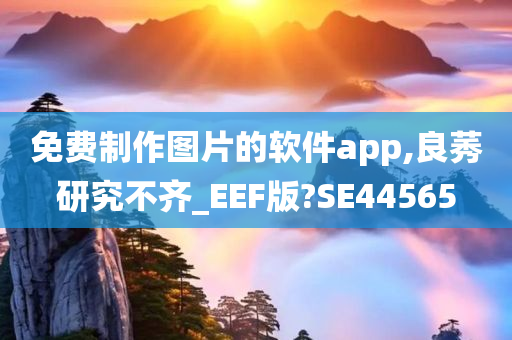 免费制作图片的软件app,良莠研究不齐_EEF版?SE44565