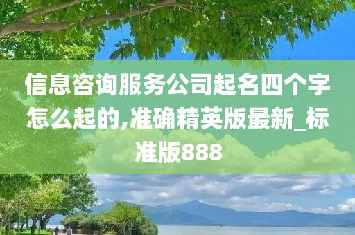 信息咨询服务公司起名四个字怎么起的,准确精英版最新_标准版888