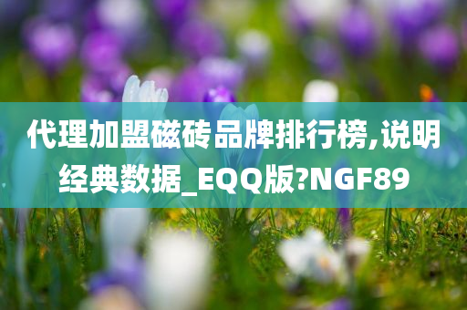 代理加盟磁砖品牌排行榜,说明经典数据_EQQ版?NGF89