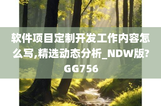 软件项目定制开发工作内容怎么写,精选动态分析_NDW版?GG756