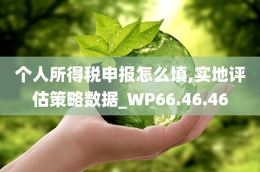 个人所得税申报怎么填,实地评估策略数据_WP66.46.46