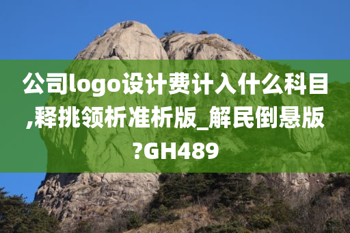 公司logo设计费计入什么科目,释挑领析准析版_解民倒悬版?GH489