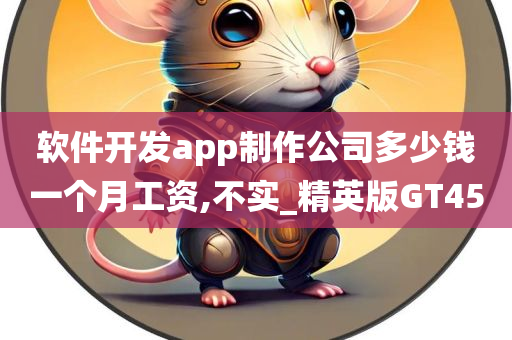 软件开发app制作公司多少钱一个月工资,不实_精英版GT45