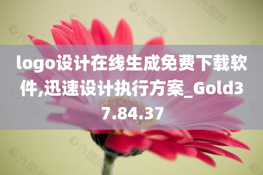 logo设计在线生成免费下载软件,迅速设计执行方案_Gold37.84.37