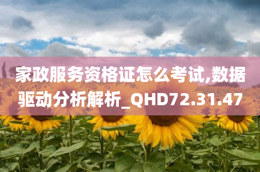 家政服务资格证怎么考试,数据驱动分析解析_QHD72.31.47