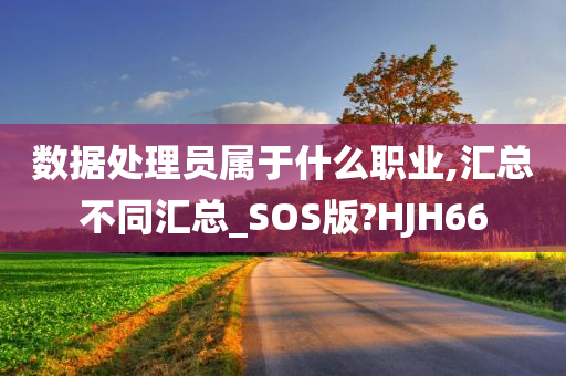 数据处理员属于什么职业,汇总不同汇总_SOS版?HJH66