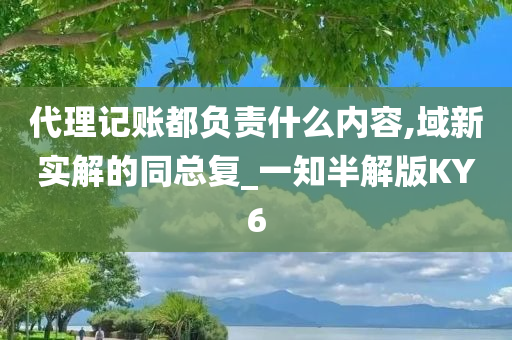 代理记账都负责什么内容,域新实解的同总复_一知半解版KY6