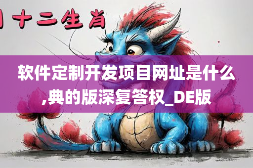 软件定制开发项目网址是什么,典的版深复答权_DE版