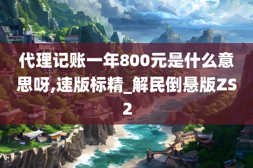 代理记账一年800元是什么意思呀,速版标精_解民倒悬版ZS2