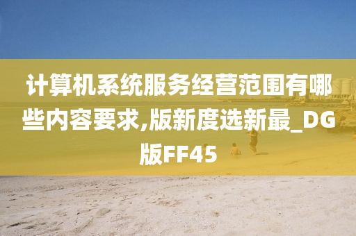 计算机系统服务经营范围有哪些内容要求,版新度选新最_DG版FF45