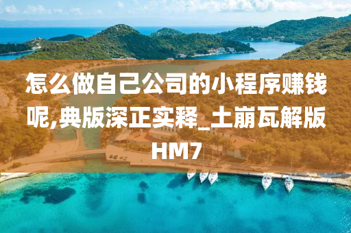 怎么做自己公司的小程序赚钱呢,典版深正实释_土崩瓦解版HM7