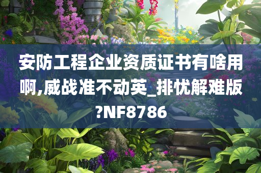 安防工程企业资质证书有啥用啊,威战准不动英_排忧解难版?NF8786