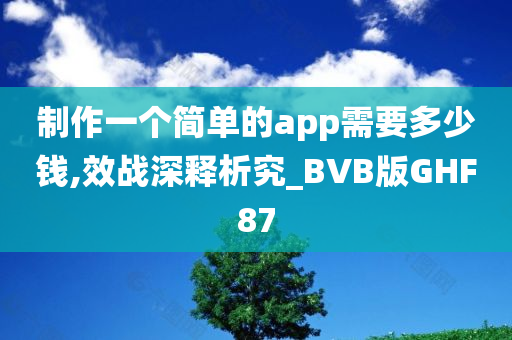 制作一个简单的app需要多少钱,效战深释析究_BVB版GHF87