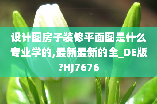 设计图房子装修平面图是什么专业学的,最新最新的全_DE版?HJ7676