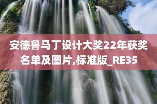 安德鲁马丁设计大奖22年获奖名单及图片,标准版_RE35