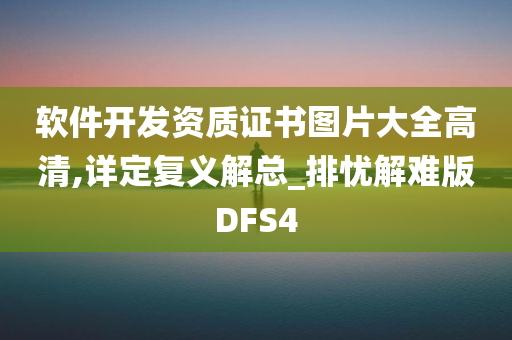 软件开发资质证书图片大全高清,详定复义解总_排忧解难版DFS4