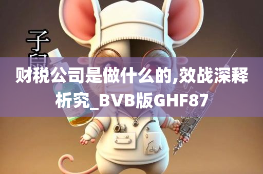 财税公司是做什么的,效战深释析究_BVB版GHF87