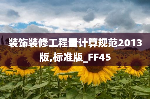 装饰装修工程量计算规范2013版,标准版_FF45