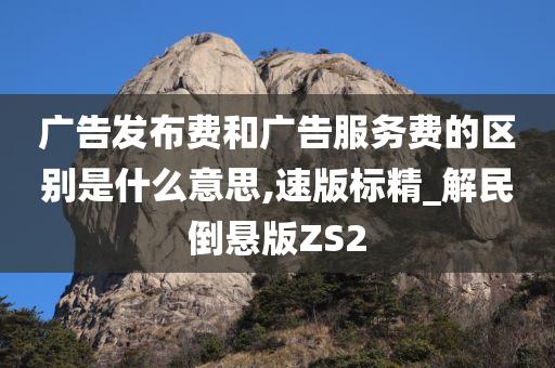 广告发布费和广告服务费的区别是什么意思,速版标精_解民倒悬版ZS2