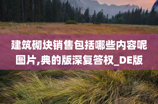 建筑砌块销售包括哪些内容呢图片,典的版深复答权_DE版