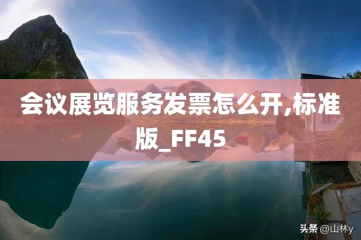 会议展览服务发票怎么开,标准版_FF45