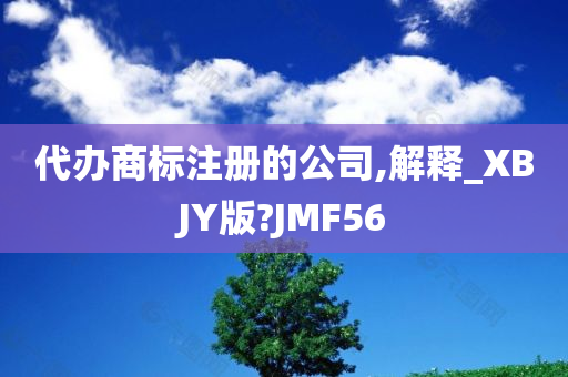 代办商标注册的公司,解释_XBJY版?JMF56