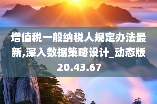 增值税一般纳税人规定办法最新,深入数据策略设计_动态版20.43.67