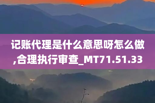 记账代理是什么意思呀怎么做,合理执行审查_MT71.51.33