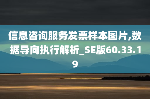 信息咨询服务发票样本图片,数据导向执行解析_SE版60.33.19