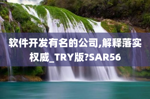 软件开发有名的公司,解释落实权威_TRY版?SAR56