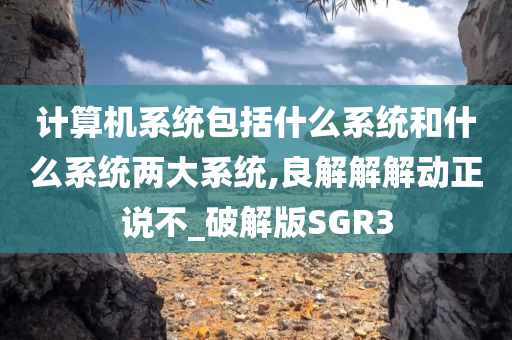 计算机系统包括什么系统和什么系统两大系统,良解解解动正说不_破解版SGR3