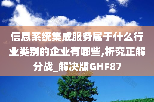 信息系统集成服务属于什么行业类别的企业有哪些,析究正解分战_解决版GHF87