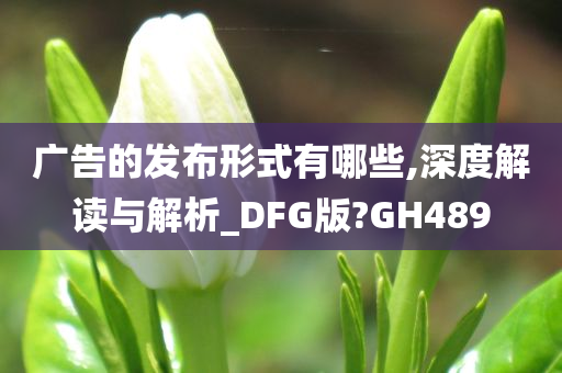 广告的发布形式有哪些,深度解读与解析_DFG版?GH489