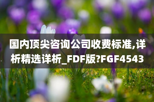 国内顶尖咨询公司收费标准,详析精选详析_FDF版?FGF4543