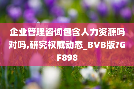 企业管理咨询包含人力资源吗对吗,研究权威动态_BVB版?GF898