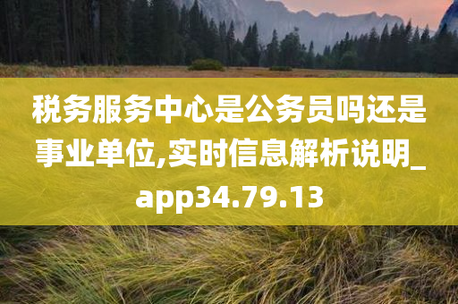 税务服务中心是公务员吗还是事业单位,实时信息解析说明_app34.79.13