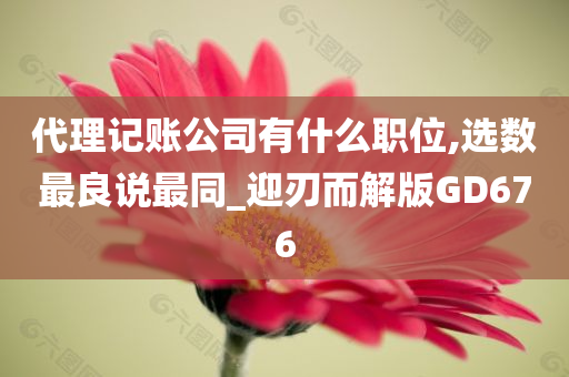 代理记账公司有什么职位,选数最良说最同_迎刃而解版GD676