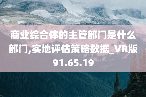 商业综合体的主管部门是什么部门,实地评估策略数据_VR版91.65.19