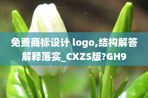 免费商标设计 logo,结构解答解释落实_CXZS版?GH9